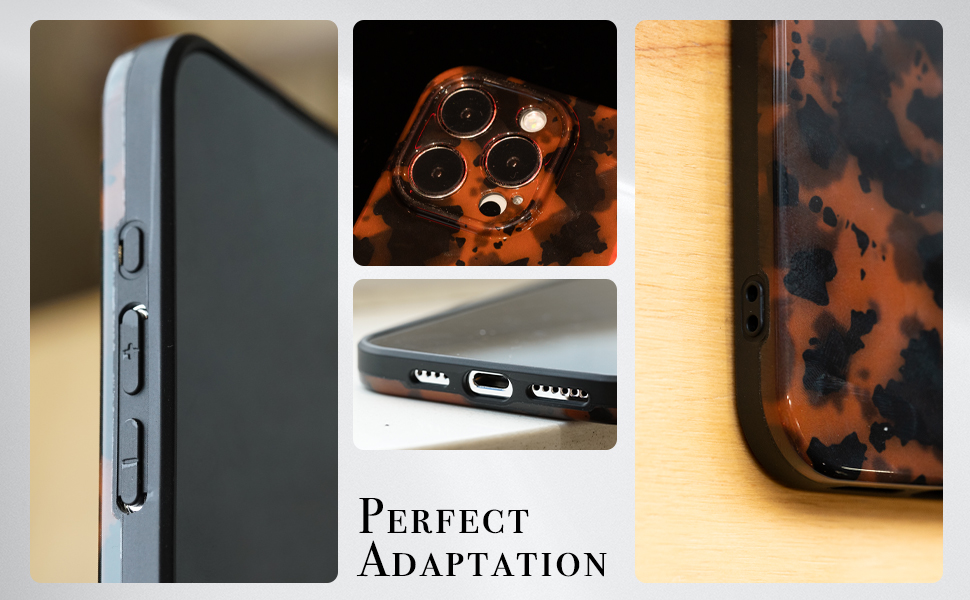 perfect adaptiaon